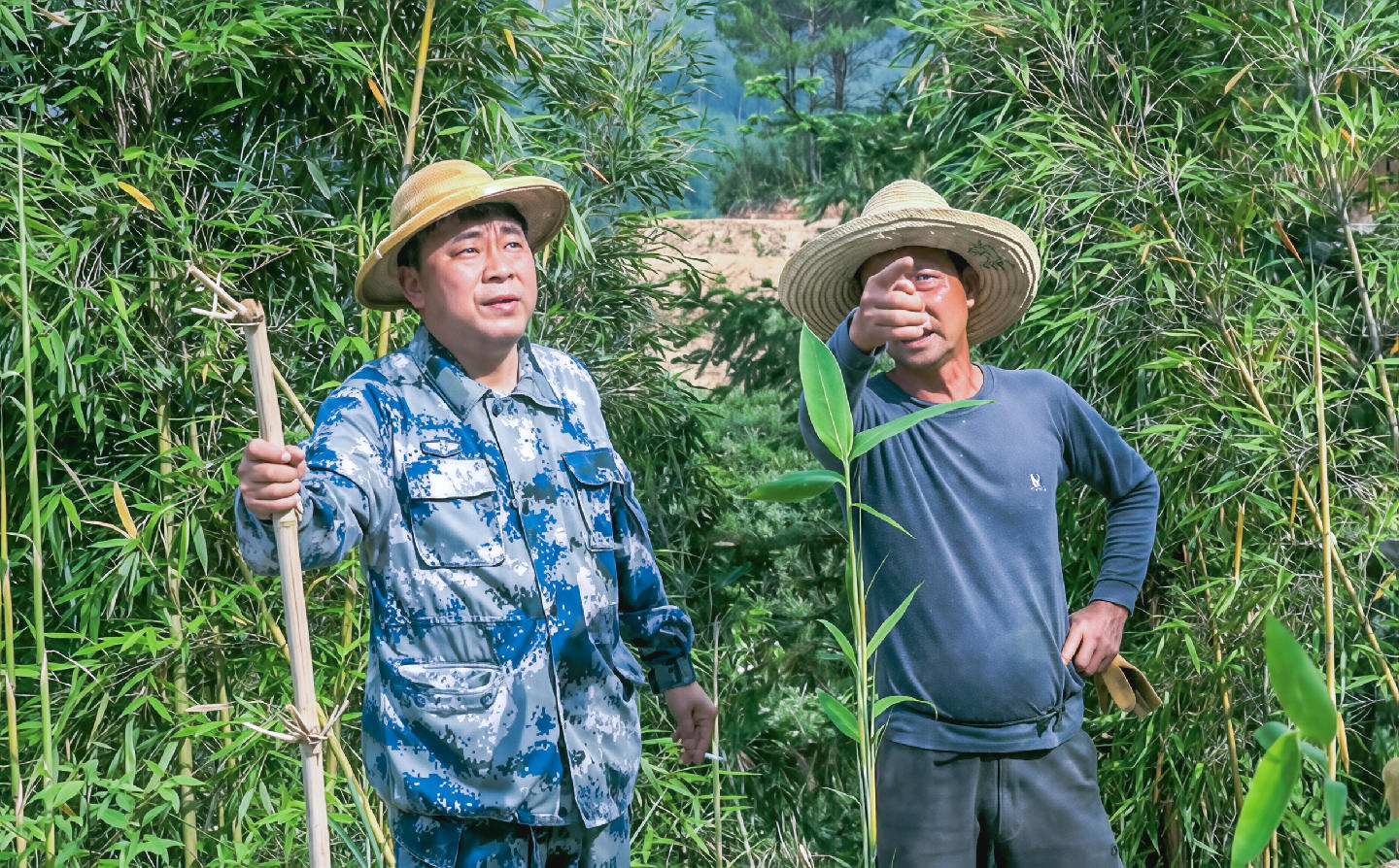 林上斗：退休旅長的鄉村畫卷